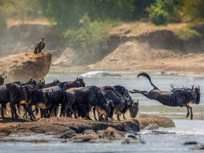 Serengeti-National-Park